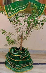 Tulsi Vastram - Lehenga & Chunni for Tulasi Vivah