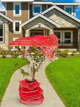 Tulsi Vastram - Lehenga & Chunni for Tulasi Vivah