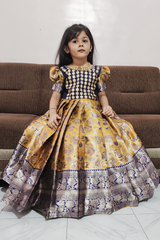 Pure Kanjivaram Silk Gown Blue