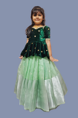 Full Stitched Pure Tissue Silk Gown