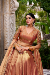 Elegant Pastel Lehenga Choli Sets with Gold Embroidery