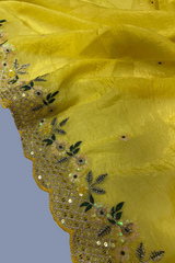 Sequence Embroidery with Cutwork Border Saree