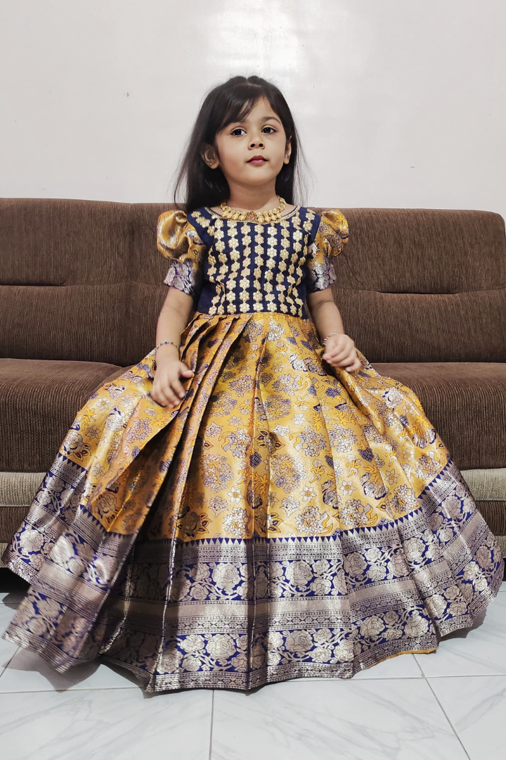 Pure Kanjivaram Silk Gown Blue