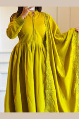 Luxury embroidered ethnic wear gown